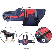 Load image into Gallery viewer, /product/2025/10/24/1981549924424224768.jpg
