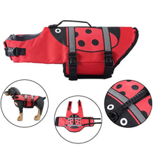 Load image into Gallery viewer, /product/2025/10/24/1981549921186222080.jpg
