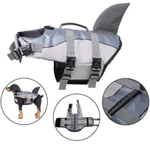 Load image into Gallery viewer, /product/2025/10/24/1981549904216068096.jpg
