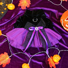 Load image into Gallery viewer, /product/2025/9/2/1962704899804368896.jpg
