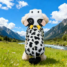 Load image into Gallery viewer, product/2025/10/14/1977998204301611008.jpg
