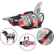 Load image into Gallery viewer, /product/2025/10/24/1981549937116188672.jpg
