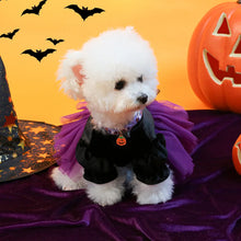 Load image into Gallery viewer, product/2025/9/2/1962704892464336896.jpg
