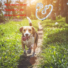 Load image into Gallery viewer, product/2025/9/11/1966039983773061120.jpg
